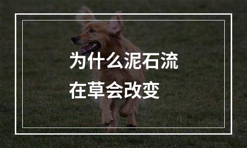 为什么泥石流在草会改变