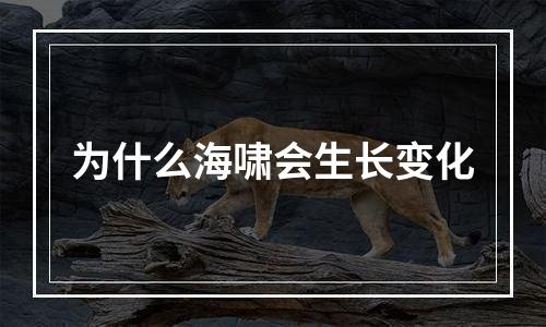 为什么海啸会生长变化
