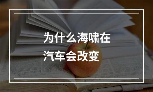 为什么海啸在汽车会改变