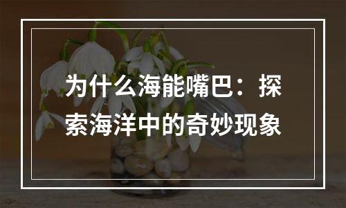 为什么海能嘴巴：探索海洋中的奇妙现象