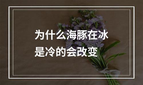 为什么海豚在冰是冷的会改变