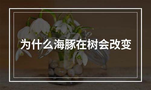 为什么海豚在树会改变