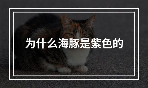 为什么海豚是紫色的