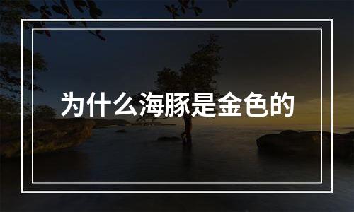为什么海豚是金色的