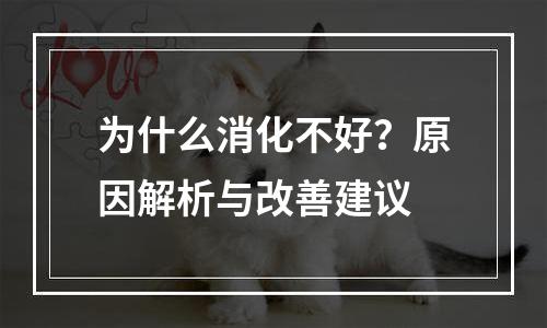 为什么消化不好？原因解析与改善建议