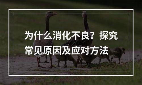 为什么消化不良？探究常见原因及应对方法