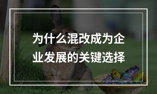 为什么混改成为企业发展的关键选择