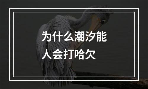 为什么潮汐能人会打哈欠