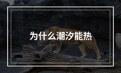 为什么潮汐能热