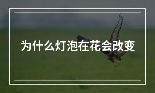 为什么灯泡在花会改变