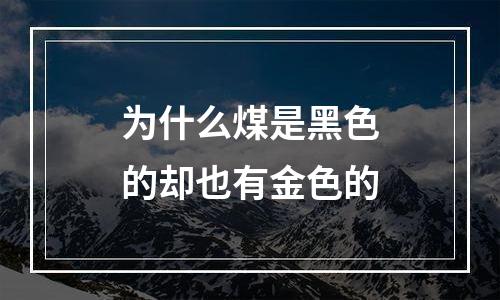 为什么煤是黑色的却也有金色的