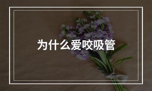 为什么爱咬吸管