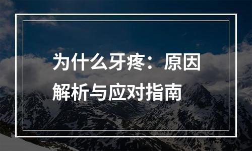为什么牙疼：原因解析与应对指南