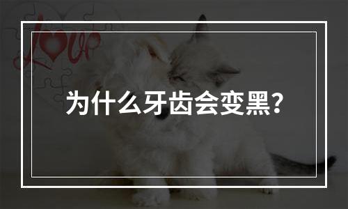 为什么牙齿会变黑？