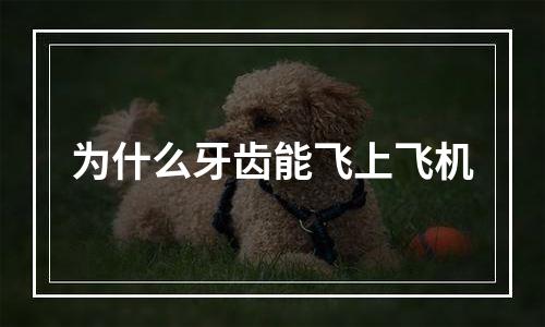 为什么牙齿能飞上飞机