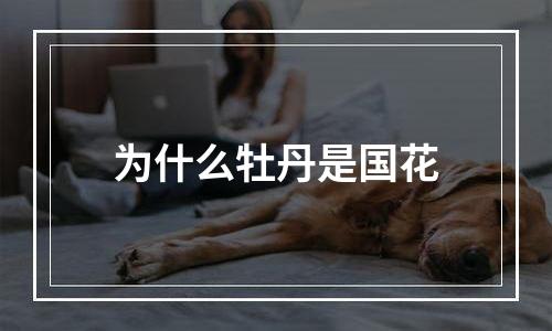 为什么牡丹是国花