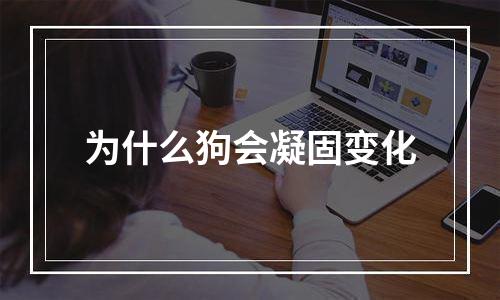 为什么狗会凝固变化
