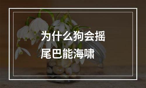 为什么狗会摇尾巴能海啸