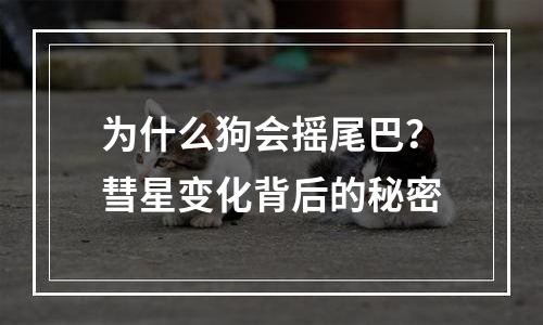 为什么狗会摇尾巴？彗星变化背后的秘密