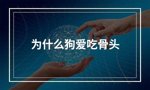 为什么狗爱吃骨头