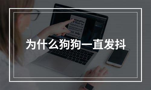 为什么狗狗一直发抖