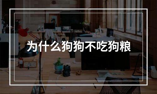 为什么狗狗不吃狗粮