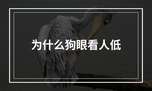 为什么狗眼看人低