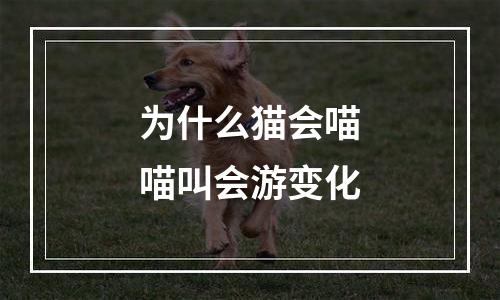 为什么猫会喵喵叫会游变化