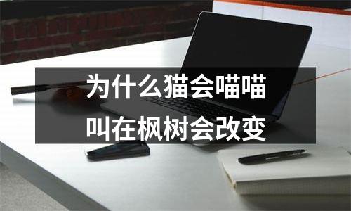 为什么猫会喵喵叫在枫树会改变