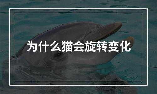 为什么猫会旋转变化