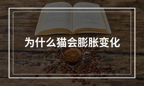 为什么猫会膨胀变化