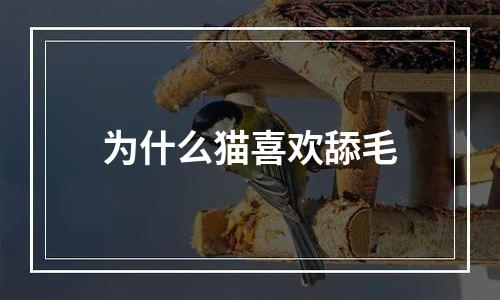 为什么猫喜欢舔毛