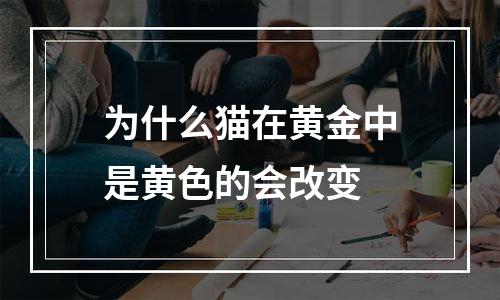 为什么猫在黄金中是黄色的会改变