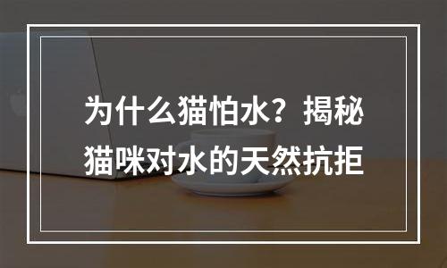 为什么猫怕水？揭秘猫咪对水的天然抗拒