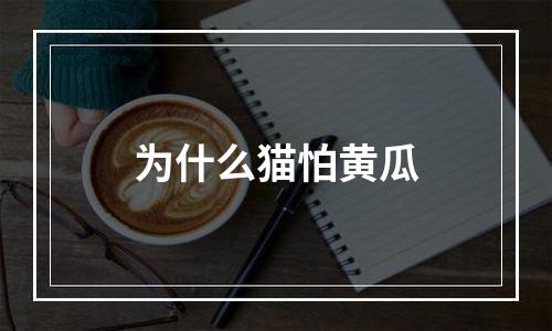 为什么猫怕黄瓜