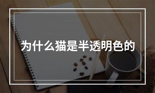 为什么猫是半透明色的
