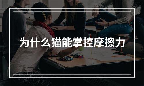 为什么猫能掌控摩擦力