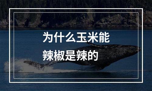 为什么玉米能辣椒是辣的