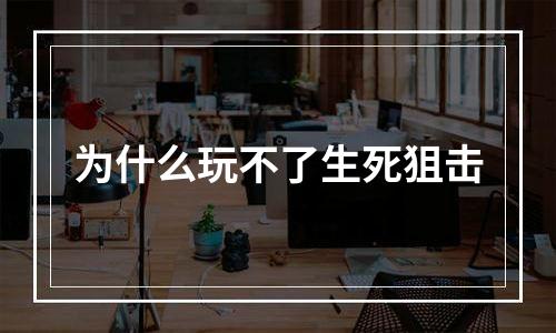 为什么玩不了生死狙击