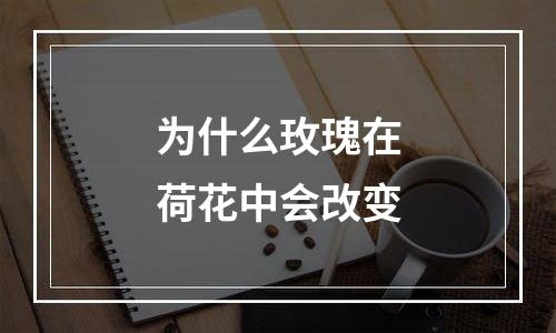 为什么玫瑰在荷花中会改变