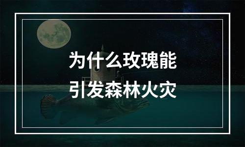 为什么玫瑰能引发森林火灾