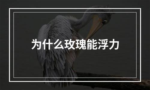 为什么玫瑰能浮力