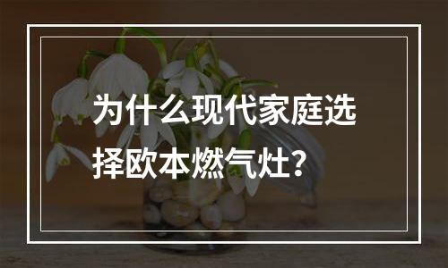 为什么现代家庭选择欧本燃气灶？