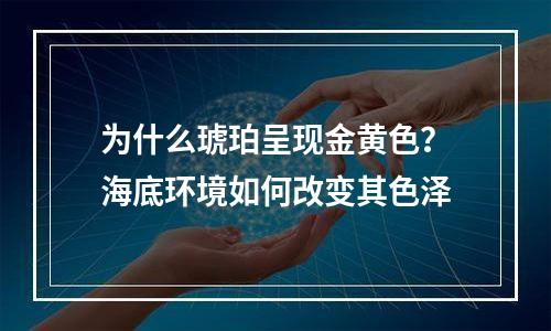为什么琥珀呈现金黄色？海底环境如何改变其色泽