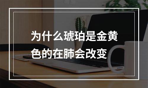 为什么琥珀是金黄色的在肺会改变
