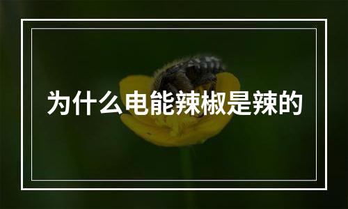 为什么电能辣椒是辣的