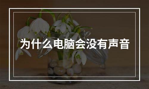为什么电脑会没有声音