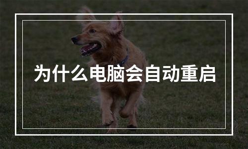 为什么电脑会自动重启