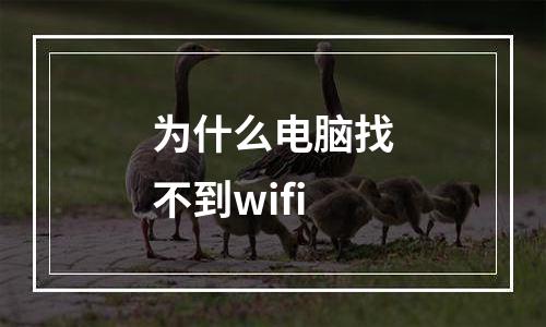 为什么电脑找不到wifi