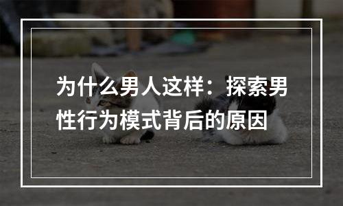 为什么男人这样：探索男性行为模式背后的原因